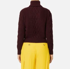 Elisabetta Franchi Knitwear And Sweatshirts|College-style wool turtleneck top RougeNoir/Mimosa