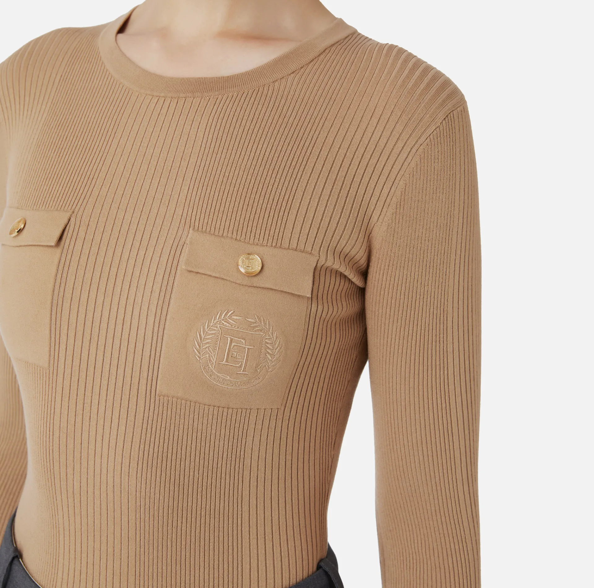 Elisabetta Franchi Knitwear And Sweatshirts|Crew neck shirt in narrow-ribbed lyocell and silk fabric with logo embroidery Camel