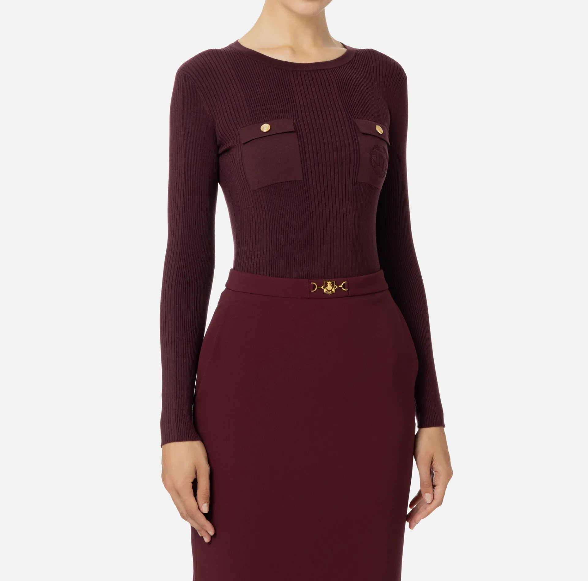Elisabetta Franchi Knitwear And Sweatshirts|Crew neck shirt in narrow-ribbed lyocell and silk fabric with logo embroidery RougeNoir