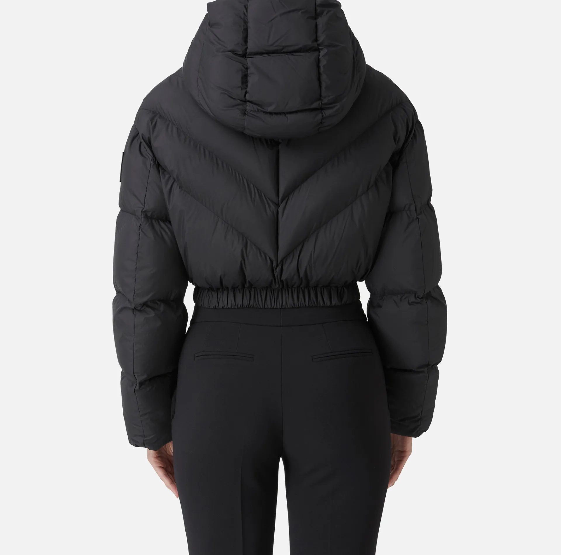 Elisabetta Franchi Coats And Jackets|Cropped down jacket in shiny nylon Black