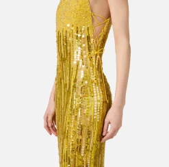 Elisabetta Franchi Red Carpet Dresses|Red Carpet|Embroidered red carpet dress with organza fringing Mimosa
