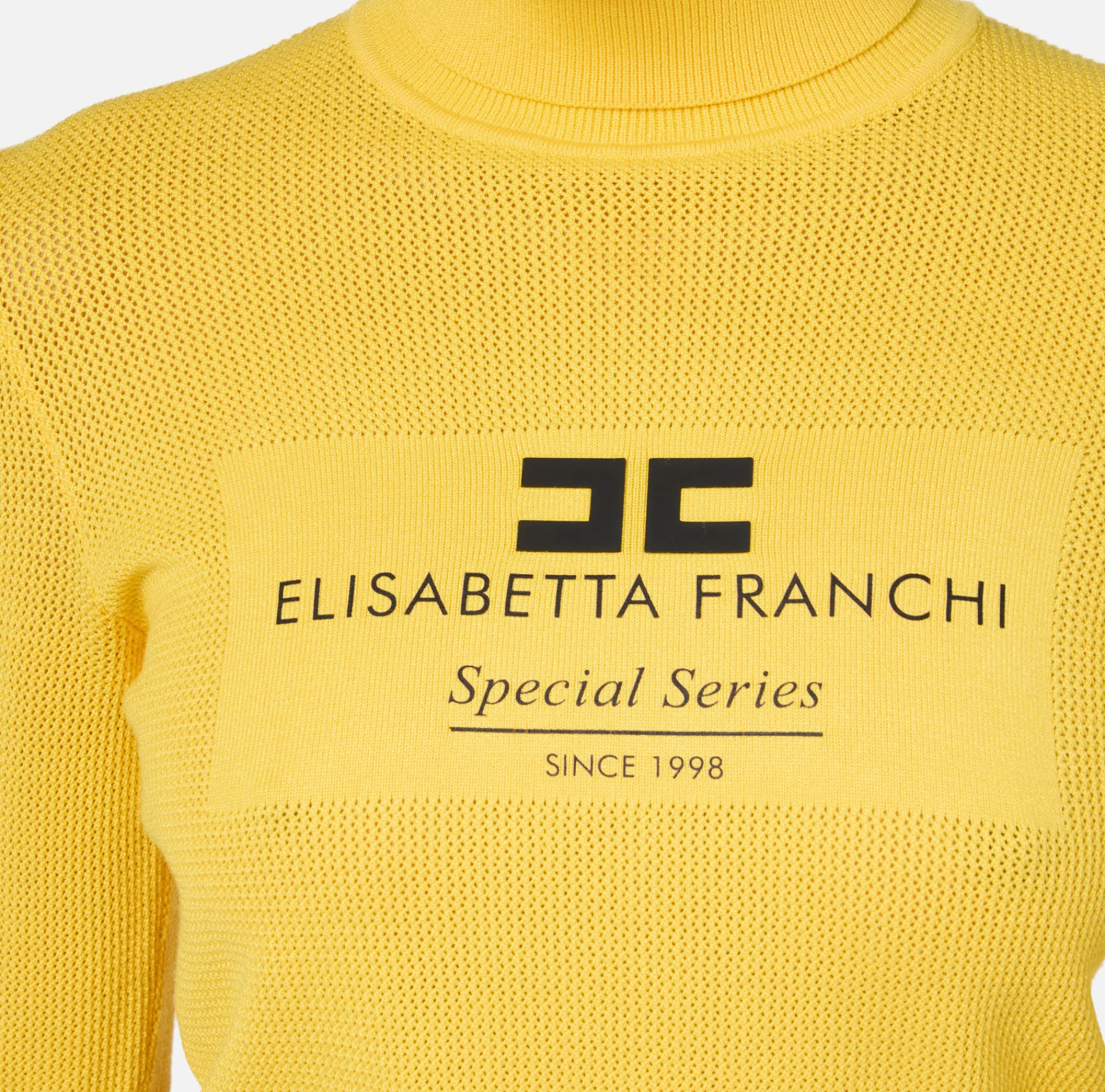 Elisabetta Franchi Knitwear And Sweatshirts|Mesh stitch turtleneck in viscose fabric with inlay Mimosa