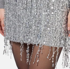 Elisabetta Franchi Skirts|Miniskirt tulle embroidered with sequin fringes Silver