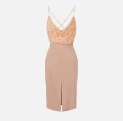 Elisabetta Franchi Red Carpet|Red Carpet Dresses|Red Carpet dress with embroidered top and skirt in lurex jersey Nude