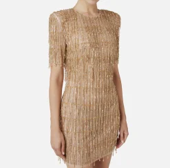 Elisabetta Franchi Red Carpet Dresses|Mini Dresses|Sequin-embroidered tulle boxy mini-dress Gold