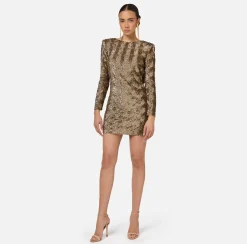 Elisabetta Franchi Dresses|Red Carpet Dresses|Sequin-embroidered tulle boxy mini-dress Camel