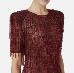 Elisabetta Franchi Red Carpet Dresses|Mini Dresses|Sequin-embroidered tulle boxy mini-dress RougeNoir