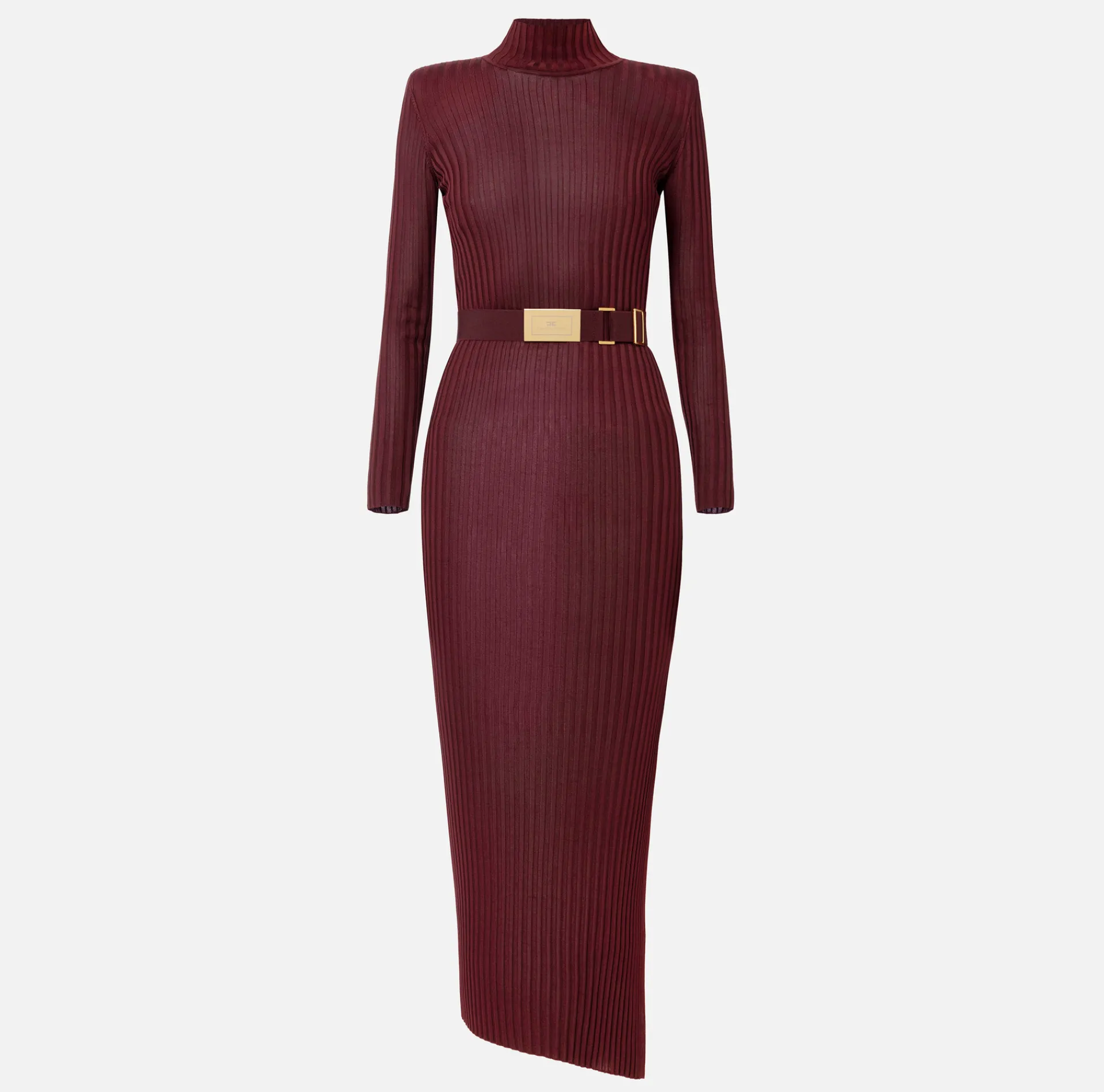 Elisabetta Franchi Knitted Dresses|Dresses|Turtleneck dress in ribbed shiny viscose fabric with belt RougeNoir