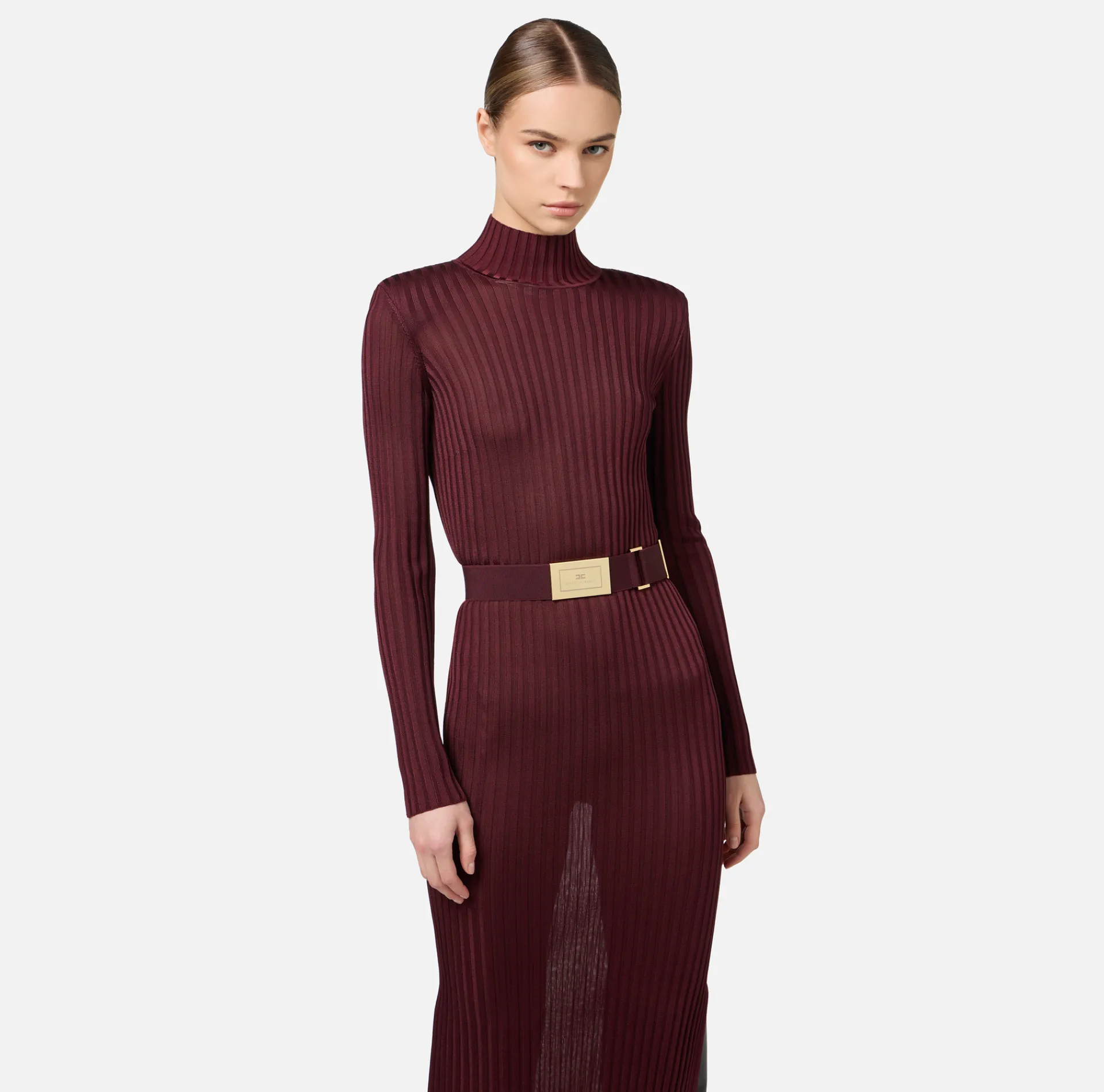 Elisabetta Franchi Knitted Dresses|Dresses|Turtleneck dress in ribbed shiny viscose fabric with belt RougeNoir