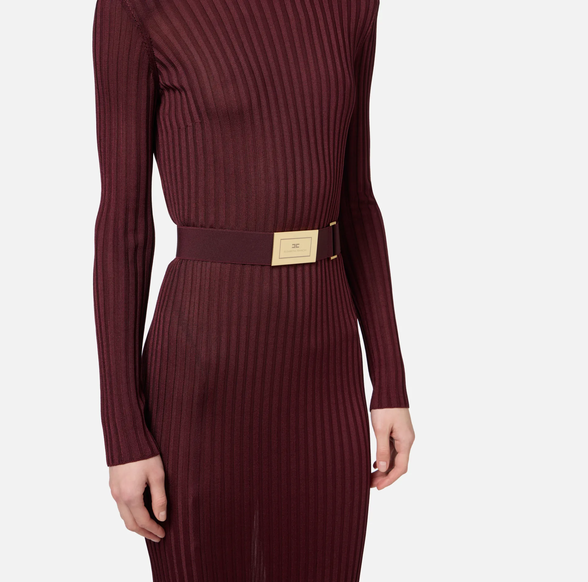 Elisabetta Franchi Knitted Dresses|Dresses|Turtleneck dress in ribbed shiny viscose fabric with belt RougeNoir