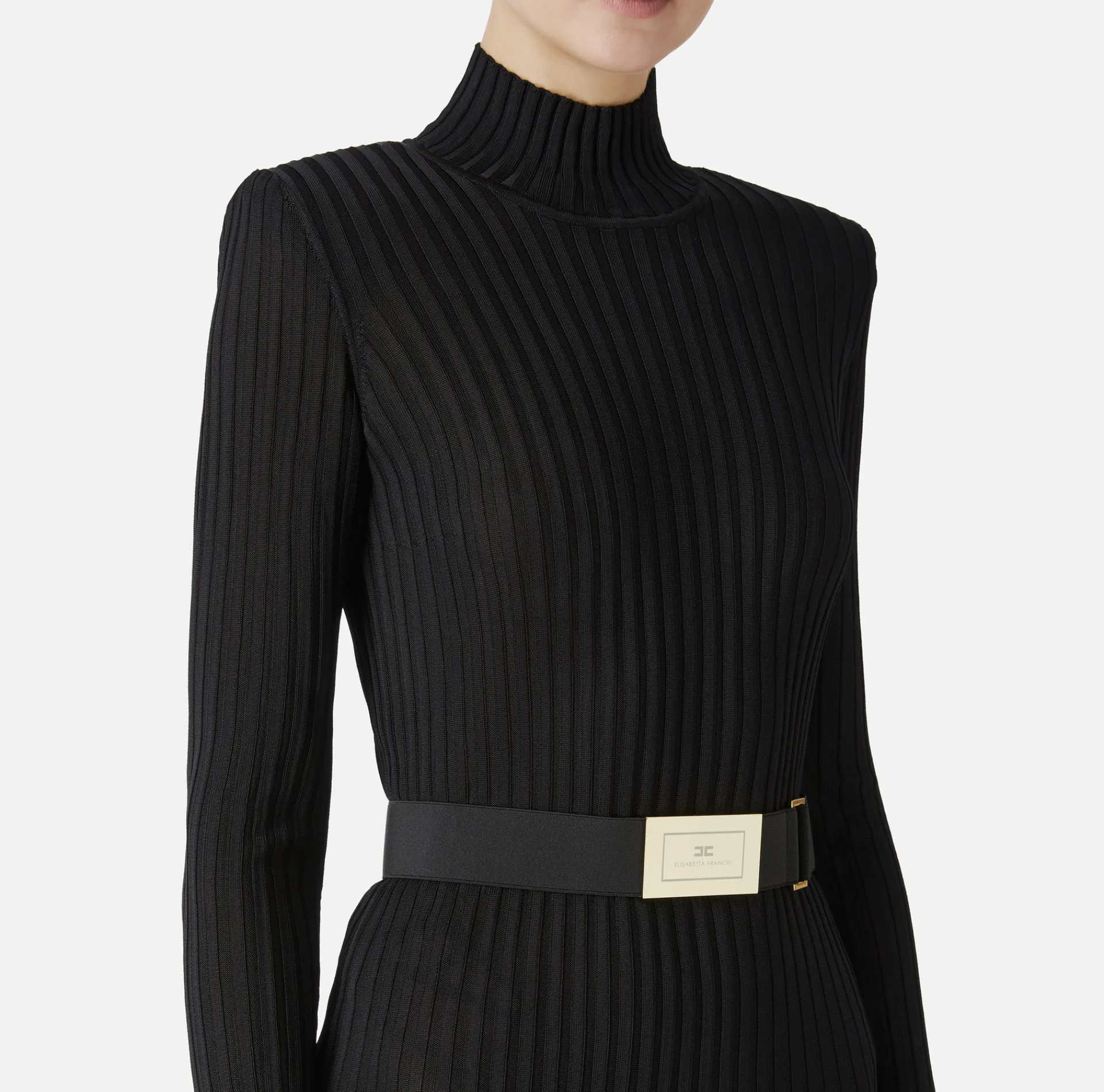 Elisabetta Franchi Knitted Dresses|Dresses|Turtleneck dress in ribbed shiny viscose fabric with belt Black