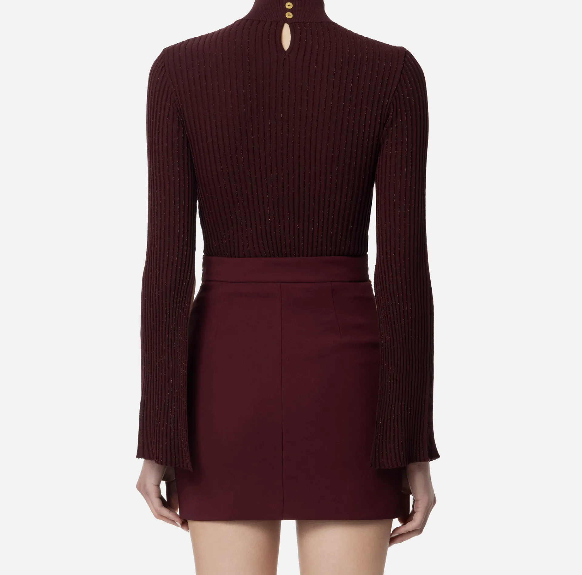 Elisabetta Franchi Knitwear And Sweatshirts|Turtleneck in narrow-ribbed lurex and viscose fabric RougeNoir