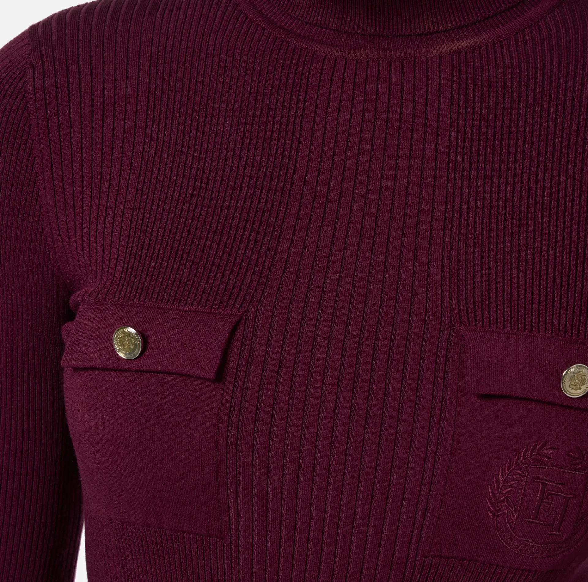 Elisabetta Franchi Knitwear And Sweatshirts|Turtleneck shirt in narrow-ribbed lyocell and silk fabric with logo embroidery RougeNoir